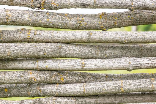 Fence of logs, wood texture, village, summer background