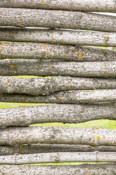 Fence of logs, wood texture, village, summer background