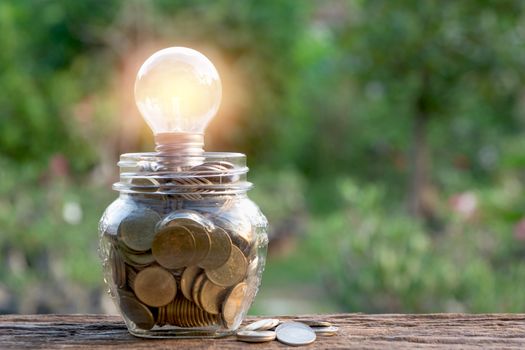 Energy saving light bulb and coins in glass jar on nature background. Saving, accounting and financial concept.