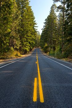 Middle of Highway 26 East Route in Oregon through Mount Hood National Forest