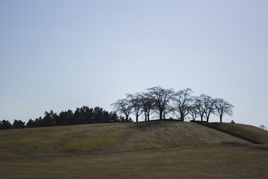 Green hills, springtime in Sweden. Person uses pink umbrella as protection from the sun, on top of t he hill.