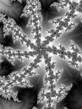 Digital computer graphic - abstract fractal pattern in a grey colors.