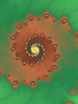 Digital computer graphic - abstract Astroniras decorative fractal wwith spirals in a bright colors for design.