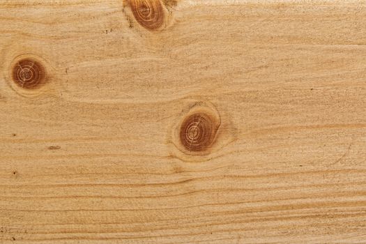 Wood texture with natural pattern. A fragment of a wooden panel