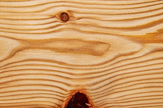 Wood texture with natural pattern. A fragment of a wooden panel