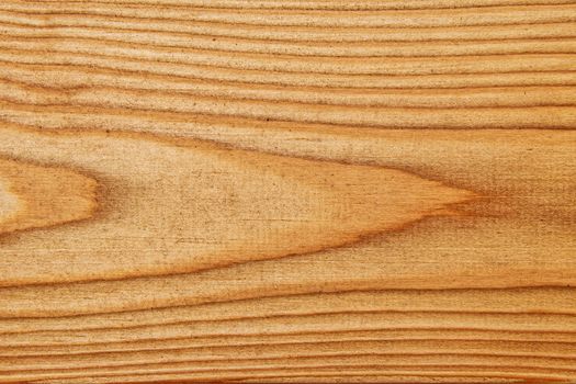 Wood texture with natural pattern. A fragment of a wooden panel