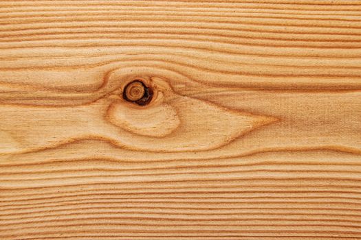 Wood texture with natural pattern. A fragment of a wooden panel