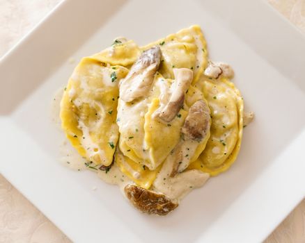 Italian ravioli tortellini with Porcini mushrooms, cream sauce, parsley.view from above.