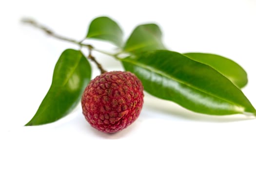 fresh fruit lychee with green leaf on white background, Asian sweet fruit.