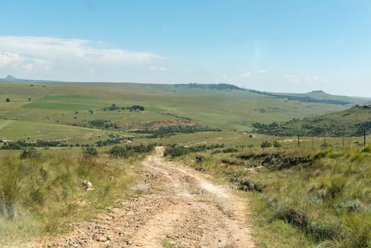 The road to Retiefklip at Kerkenberg, an historic site where the names of Voortekkers were written on an overhanging rock