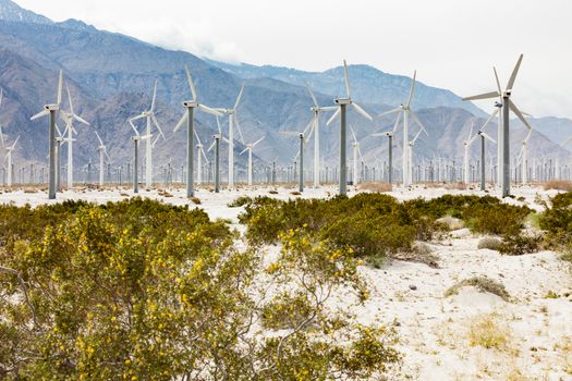 Dramatic Wind Turbine Farm in the Desert of California.