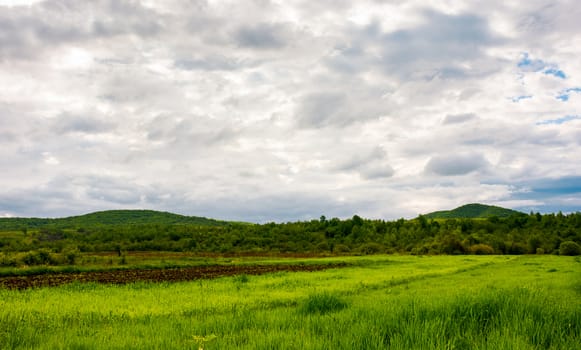 rural fields on a cloudy day. lovely springtime scenery of mountainous countryside