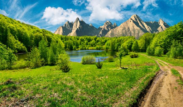 composite summer landscape. trees on the shore of a clear lake at the foot of epic high Tatra mountain ridge. rocky peaks under blue sky with clouds