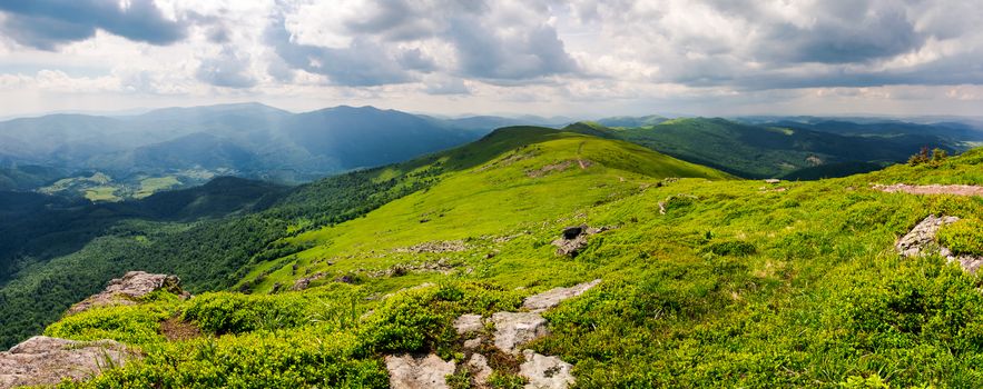 panorama of great Carpathian water dividing ridge. beautiful summer landscape view of Lviv and TransCarpathia regions of Ukraine from mountain Pikui