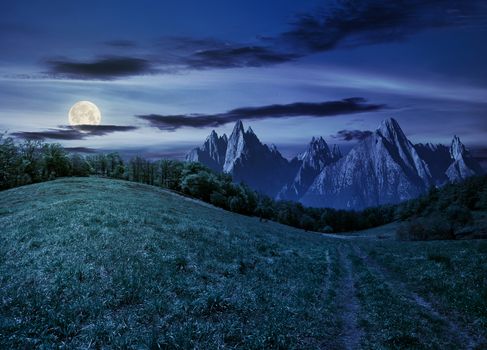 Composite summer landscape. Path through the forest on grassy hillside in High Tatras. beautiful summer weather with blue sky and some clouds at night in full moon light