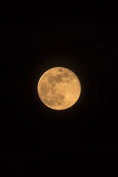 Blue Moon rising on 31 March 2018, photo dimensions, portrait orientated image with Moon isolated on black background with text or copy space.