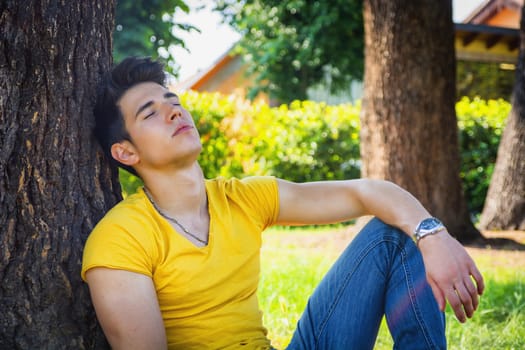 Attractive young man in park resting or sleeping against tree, relaxed in a sunny summer day