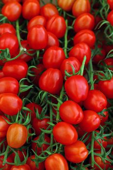 Close up fresh red cherry tomatoes on green branch at retail display of farmers market, high angle view