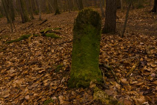 an old stone in the woods with green moss