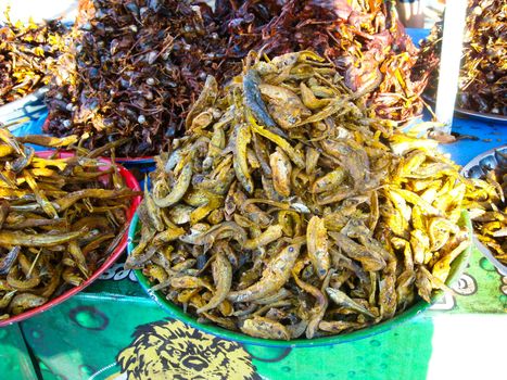 a plate full of shrimps in burma