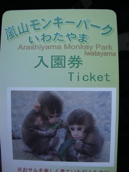 ticket for monkey park sweet monkey babies