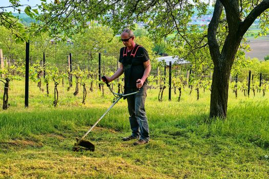 Midle aged man using a brush cutter. Mature man in the garden. Gardening concept.