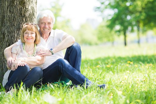 Happy senior couple sitting on grass under a tree in park at sunny summer day