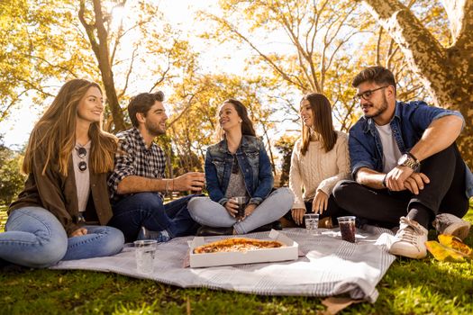 Friends at the park making a picnic
