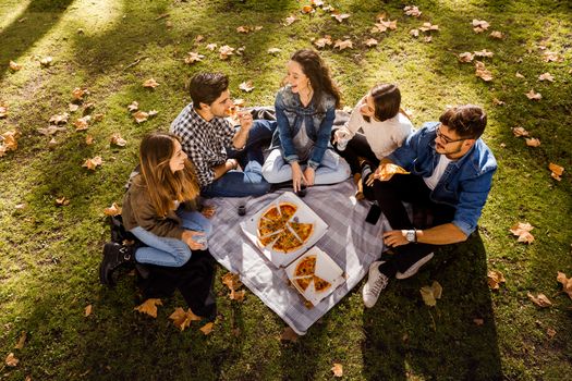 Friends at the park making a picnic