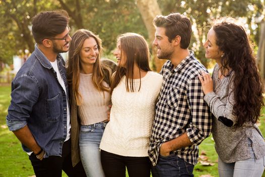 Group of friends having  a great day in the park