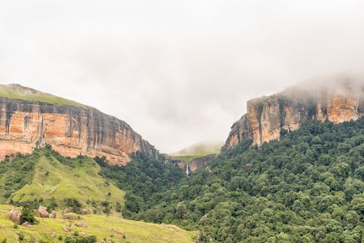 The Gudu Forest with the Gudu falls in the back near Mahai in the Kwazulu-Natal Drakensberg