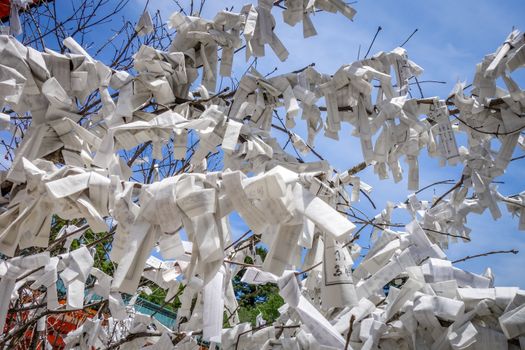 Omikuji tree Heian Jingu Shrine temple in Kyoto, Japan