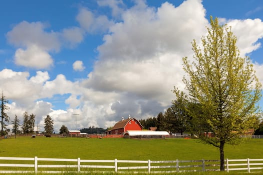 Cattle Ranch and Sheep Farm with Red Barn and White Picket Fences in Rural Clackamas Oregon