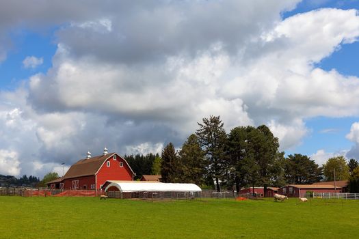Cattle Ranch and Sheep Farm with Red Barn in Rural Clackama Oregon