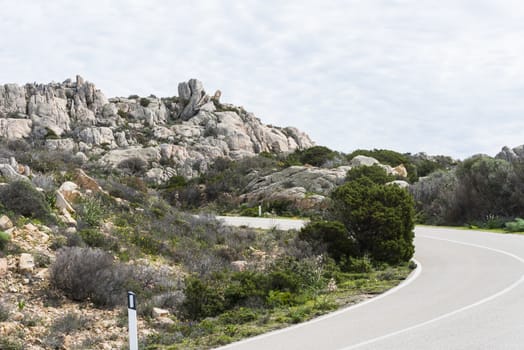 a winding road with hairpin bends and beautiful nature with flowers and plants on the island of maddalena