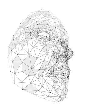 Human face consisting of lines, polygons and dots. 3d illustration on a white background