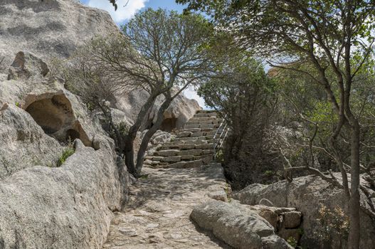 stairs from raw stones and rocks with tree and plants in garden sardinia near palua, the stiars lead to the bear rock, famous rock called capo dorso
