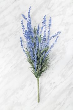 Blooming lavender on light gray marble background.