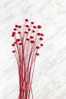 Decorative red flowers on light gray marble background, simple and beautiful decor.
