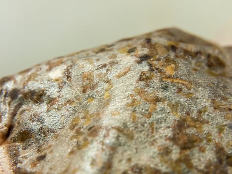 close up texture of used tea bag; Essex; UK