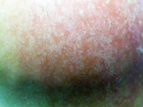 apple texture close up green and red macro; Essex; UK