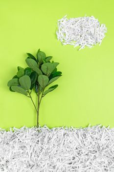 Green tree growing in recycled shredded paper, on bright green background. Environment protection and recycling concept.
