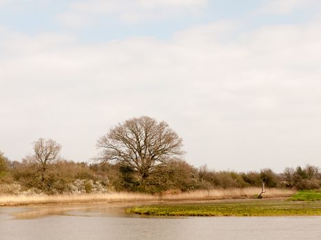 open water stream valley field nature farmland country outside skies beautiful tree; essex; england; uk