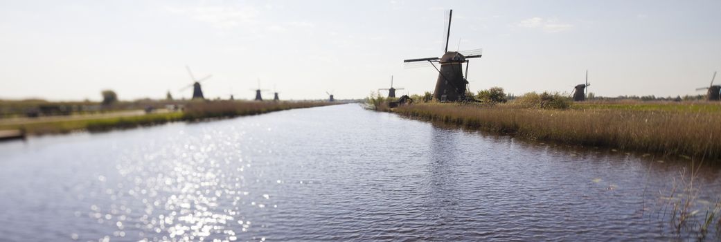 Dutch windmill in Kinderdijk