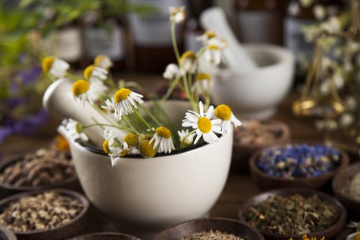 Healing herbs on wooden table, mortar and herbal medicine