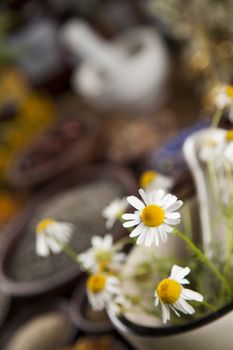 Healing herbs on wooden table, mortar and herbal medicine