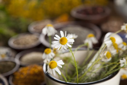 Healing herbs on wooden table, mortar and herbal medicine