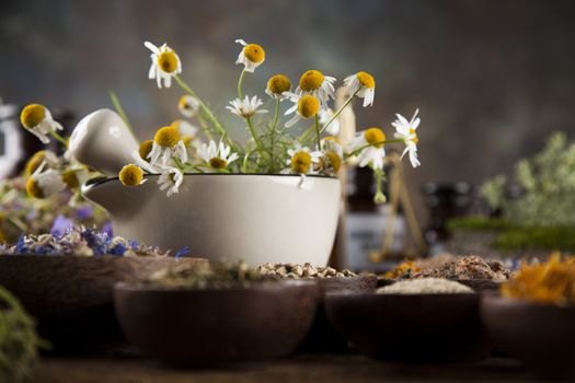 Fresh medicinal, healing herbs on wooden