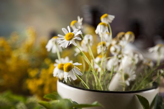 Herbal medicine on wooden desk background