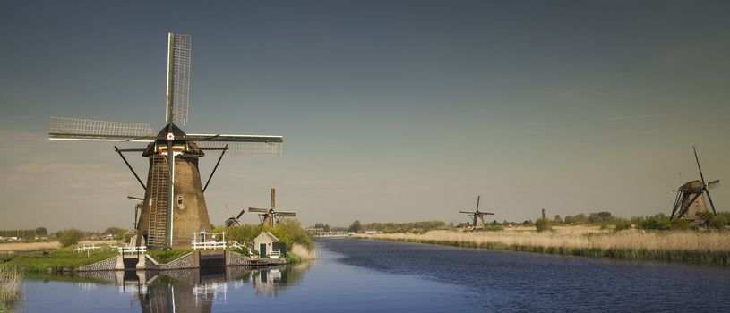 Dutch windmill in Kinderdijk